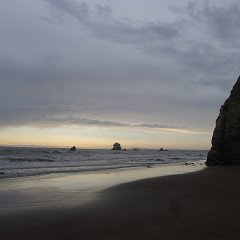 GirlsWildCat 063 : GirlsWildCat